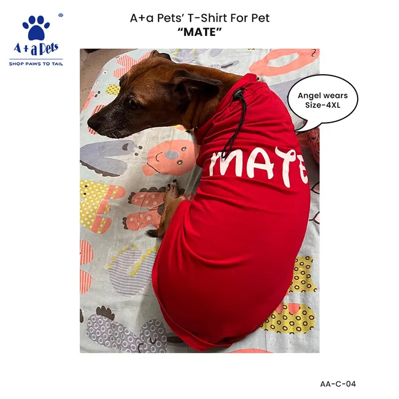 A a Pets' Graphic Printed T-Shirt for Human 'Soul/Black' & Pets 'Mate/Red' - Combo