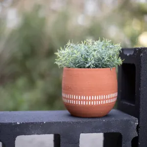 Foreside Home & Garden - Anouk Terracotta Planter